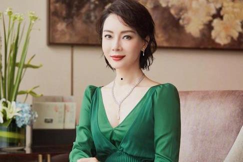 陈数视频在线视频,在线视频中的优雅与智慧