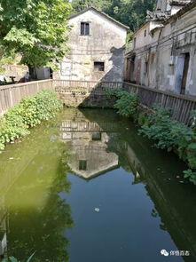 色在线视频桃花坞,色在线视频中的诗意人生