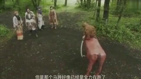 日日吊在线视频,揭秘现代都市生活的新潮流