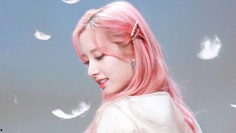 韩国乱理在线视频,揭秘韩国社会现象背后的惊人真相