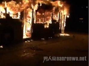 燃烧完整版在线视频,揭秘在线视频中的激情与真相